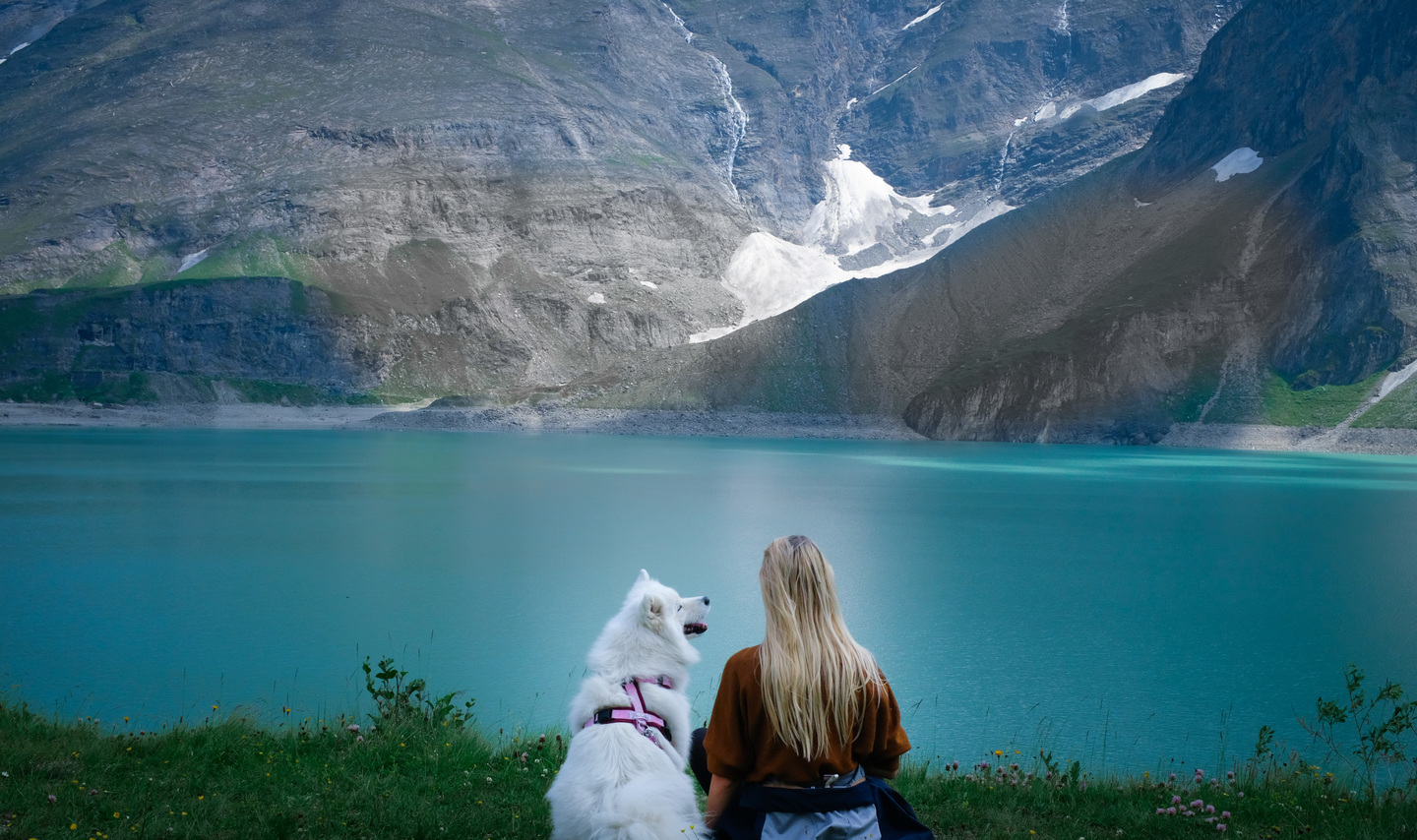 landingpage image
